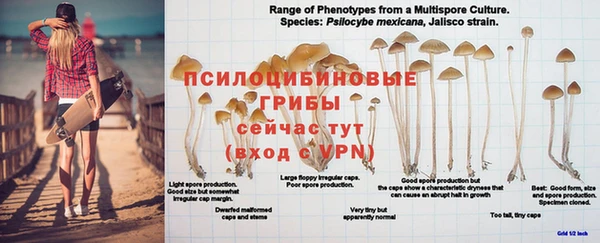 меф Ельня